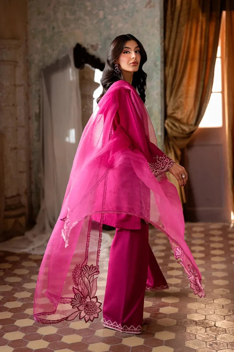Rich Fuchsia Berry & Silver: Embroidered Chiffon Suit