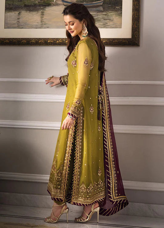 Olive Green and Maroon Chiffon Suit | Ready to Wear